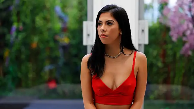 Lady Mila - Net Girl: Mila â€“ A Latina Beauty - Amateur Porn Casting Videos